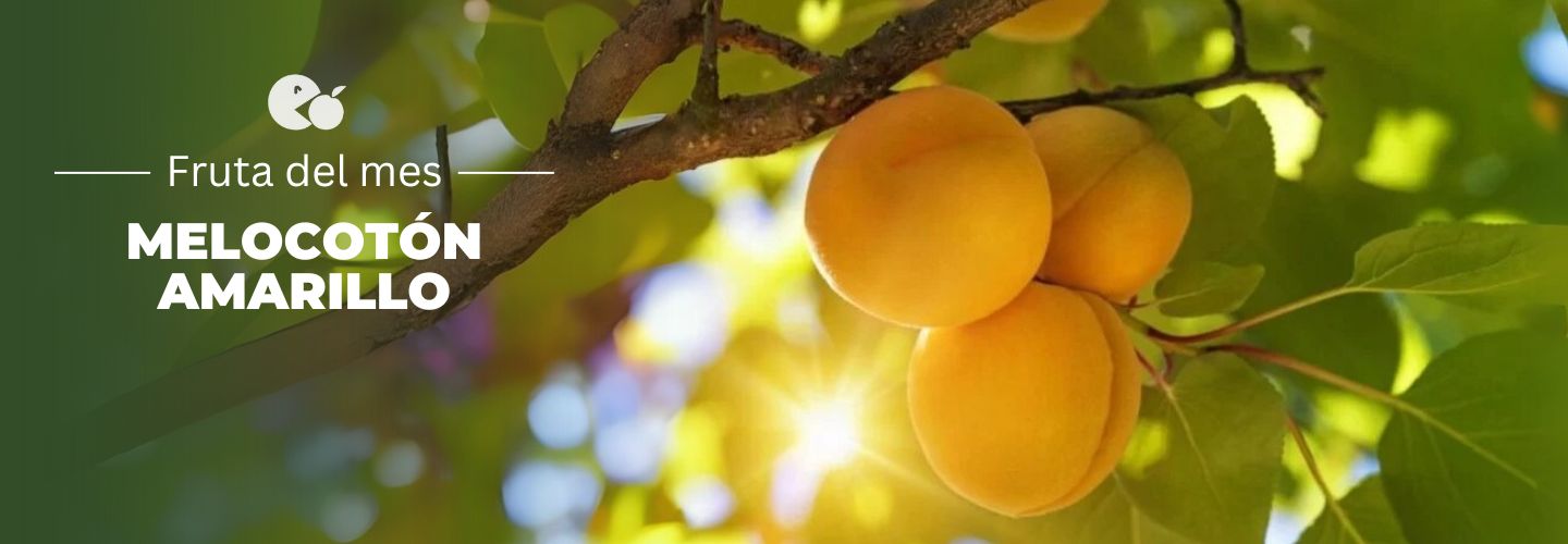 comprar melocotón amarillo, melocotón, melocotón claro, melocotón españa