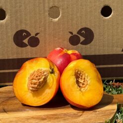 nectarina, comprar nectarina, nectarina online, fruta de temporada, fruta fresca, fruta a domicilio, fruta ecológica, fruta sin intermediarios, nectarina natural, nectarina dulce, nectarina de verano, fruta recién cosechada, nectarina española
