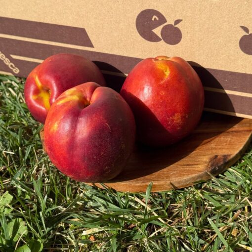 nectarina, comprar nectarina, nectarina online, fruta de temporada, fruta fresca, fruta a domicilio, fruta ecológica, fruta sin intermediarios, nectarina natural, nectarina dulce, nectarina de verano, fruta recién cosechada, nectarina española