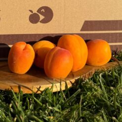 albaricoque, albaricoques, albaricoque natural, albaricoque fresco, comprar albaricoques, albaricoque online, fruta de hueso, fruta de temporada, albaricoques a domicilio, fruta fresca online, albaricoque dulce, albaricoque maduro, albaricoque ecológico, fruta de verano, albaricoque directo del agricultor