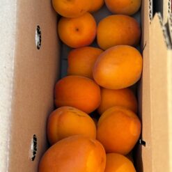 albaricoque, albaricoques, albaricoque natural, albaricoque fresco, comprar albaricoques, albaricoque online, fruta de hueso, fruta de temporada, albaricoques a domicilio, fruta fresca online, albaricoque dulce, albaricoque maduro, albaricoque ecológico, fruta de verano, albaricoque directo del agricultor,