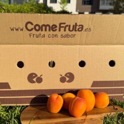 albaricoque, albaricoques, albaricoque natural, albaricoque fresco, comprar albaricoques, albaricoque online, fruta de hueso, fruta de temporada, albaricoques a domicilio, fruta fresca online, albaricoque dulce, albaricoque maduro, albaricoque ecológico, fruta de verano, albaricoque directo del agricultor,