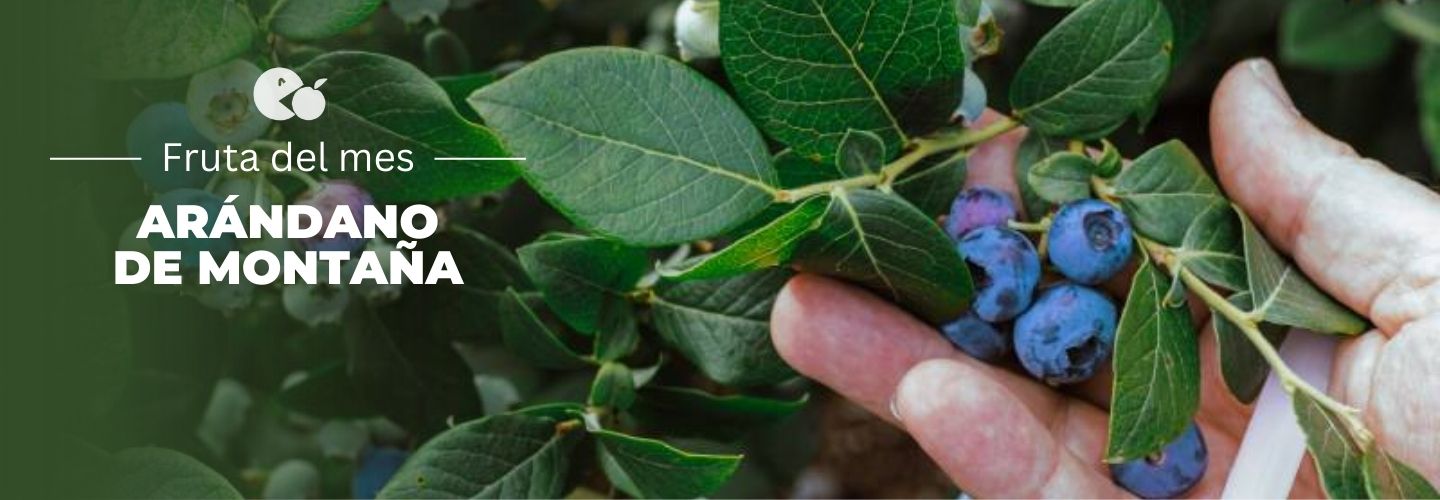Arandanos web - Frutería online - Comprar Fruta y verdura a domicilio 🏠