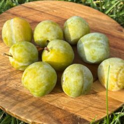 ciruela reina claudia, ciruelas reina claudia, comprar ciruela reina claudia, reina claudia fruta, precio ciruela reina claudia, reina claudia temporada, beneficios de la ciruela reina claudia, propiedades ciruela reina claudia, reina claudia vitaminas, reina claudia antioxidantes, reina claudia digestiva