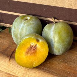 ciruela reina claudia, ciruelas reina claudia, comprar ciruela reina claudia, reina claudia fruta, precio ciruela reina claudia, reina claudia temporada, beneficios de la ciruela reina claudia, propiedades ciruela reina claudia, reina claudia vitaminas, reina claudia antioxidantes, reina claudia digestiva