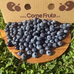 arándanos, comprar arándanos, arándanos frescos, arándanos online, arándanos a domicilio, precio arándanos, beneficios de los arándanos, propiedades de los arándanos, arándanos antioxidantes, arándanos para la memoria, arándanos para adelgazar, vitaminas de los arándanos