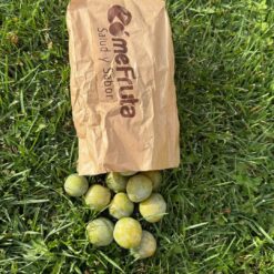 ciruela reina claudia, ciruelas reina claudia, comprar ciruela reina claudia, reina claudia fruta, precio ciruela reina claudia, reina claudia temporada, beneficios de la ciruela reina claudia, propiedades ciruela reina claudia, reina claudia vitaminas, reina claudia antioxidantes, reina claudia digestiva