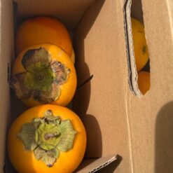 kaki, comprar kaki online, kaki a domicilio, kaki fresco, kaki online, kaki natural, kaki Persimon, kaki de temporada, kaki español, kaki nacional, fruta kaki, fruta persimón, kaki dulce, kaki sin astringencia, kaki maduro, kaki directo del agricultor, kaki España, kaki Valencia, kaki ecológico, kaki premium, kaki natural online, venta de kaki online, kaki fruta fresca a domicilio