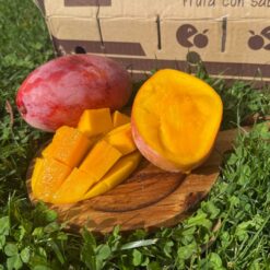 Comprar mango online, Mangos a domicilio, Mango fresco online, Mango natural a domicilio, Mango tropical online, mango españa, mango online