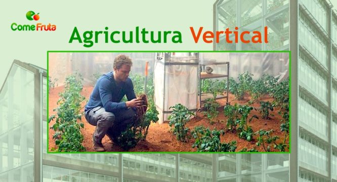 vertical agricultura agricultura indoor