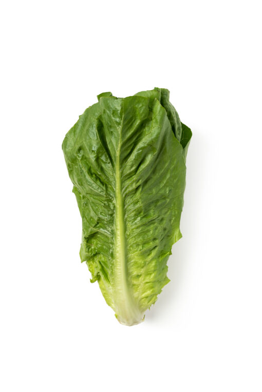 lechuga comefruta
