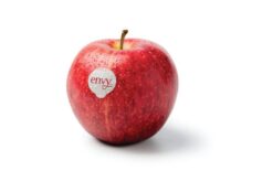 Manzana Envy