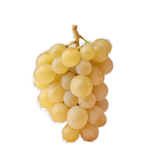 uva moscatel