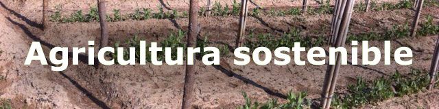 Agricultura sostenible