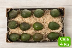 caja aguacate 4kgs