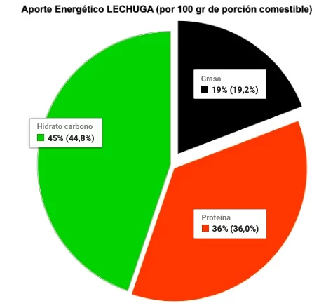 aporte lechuga romana valor nutricional propiedades - Lechuga romana