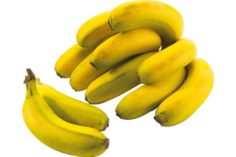 Banana de Madeira
