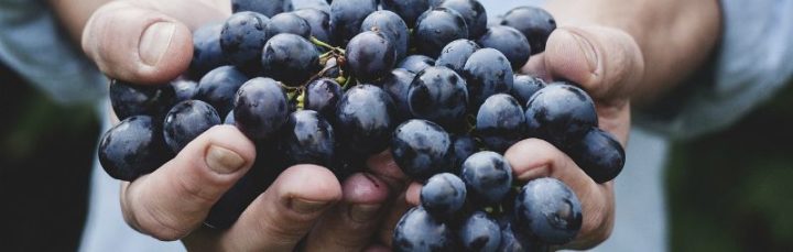beneficios de la uva