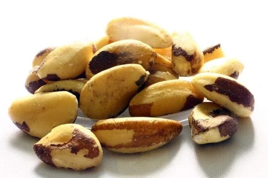 nueces de Brasil el mejor fruto seco