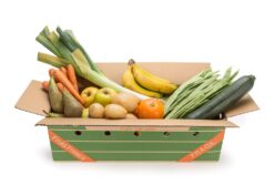 caja mix fruta y verdura - Fruta+Verdura y Conservas