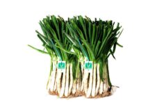 Calçots