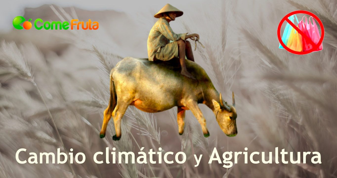 agricultura y cambio climático