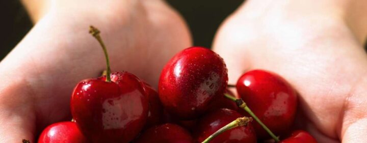 cerises2