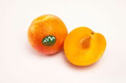 ciruelarosaama - Ciruela Rose de Alta Montaña de Aragón