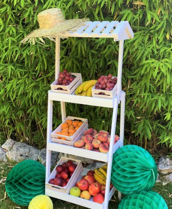 comefruta y aire de fiesta carro grande frutas