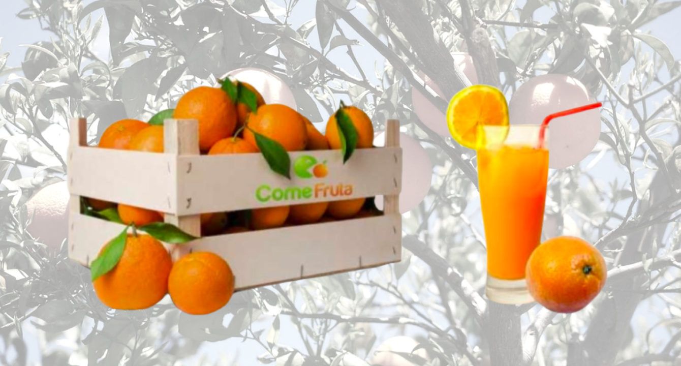 comprar naranjas comefruta