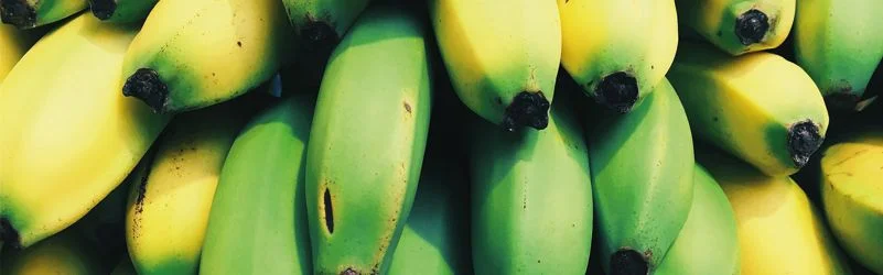 conservar plátanos maduros y verdes
