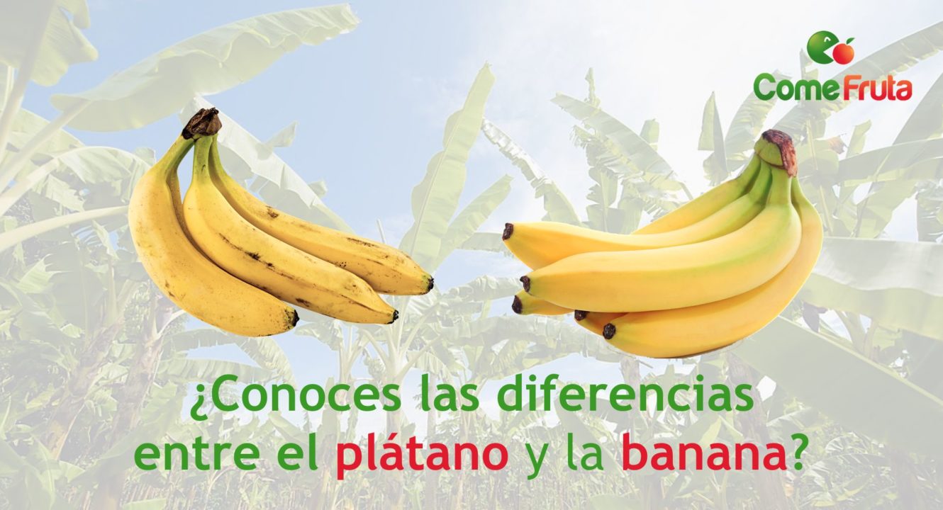 plátano vs. banana comefruta