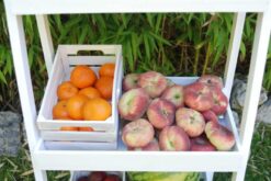 expositor madera grande detalle w - CARRITO GRANDE CON FRUTAS