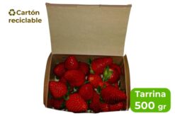 tarrina fresón cartón