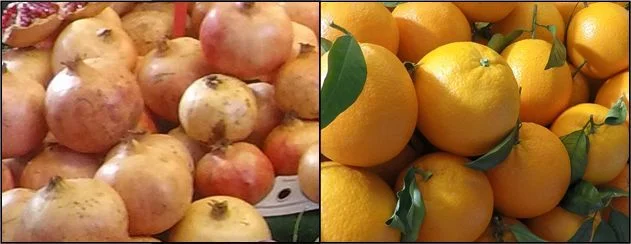 Fruta - Mercado Central de Valencia
