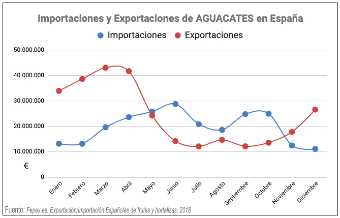 importación y exportación aguacate españa