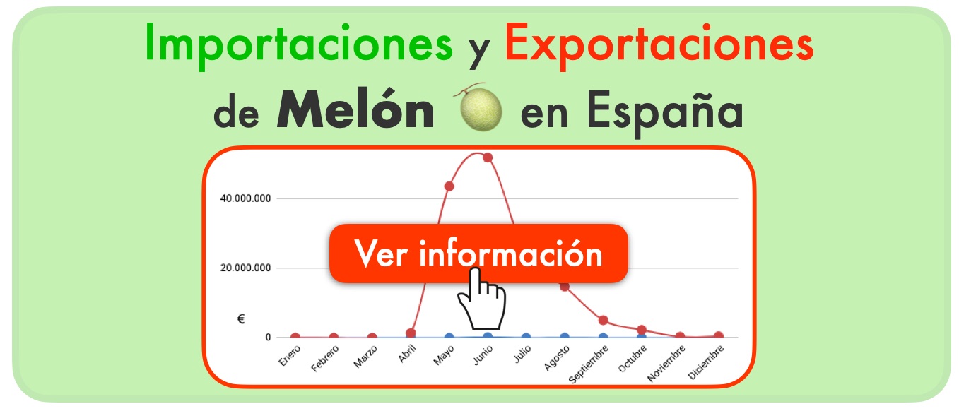 exportación importación melón