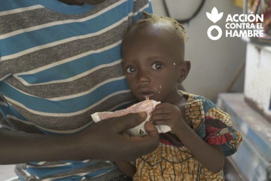lucha contra la desnutrición infantil