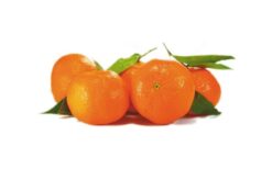 mandarina