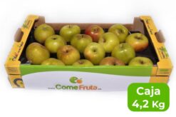 manz reineta caja 1 - Manzana Reineta
