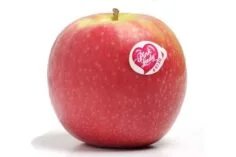 Manzana Pink Lady