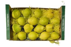 membrillo caja w - Membrillo