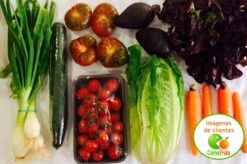 mix ensalada comefruta imagen cliente