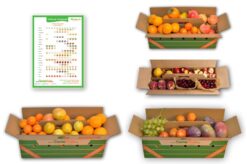 mix temporada (frutas variadas de temporada)