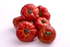 mix tomates - Mix de tomates