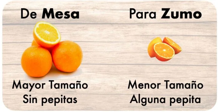 naranja de zumo vs naranja mesa
