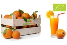 naranjas zumo ecológicas