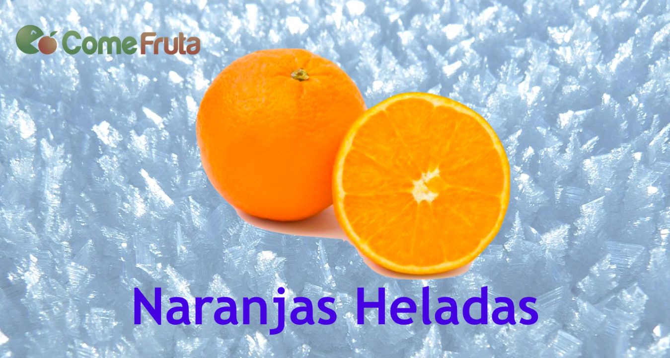 preparar naranjas heladas