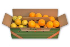 naranjas limones valencia - Naranjas y limones
