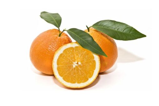 naranjas de Valencia directas del productor